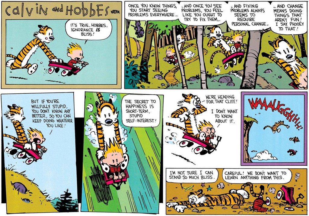 Clavin &amp;amp; Hobbes - Ignorance is Bliss