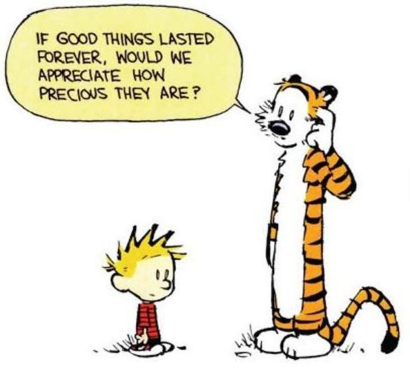 Calvin &amp;amp; Hobbes - If good things lasted forever